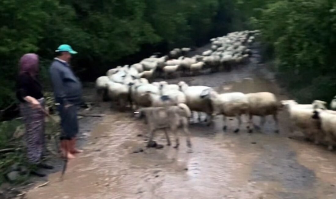 Amasya'nın Gümüşhacıköy ilçesi Yeniköy