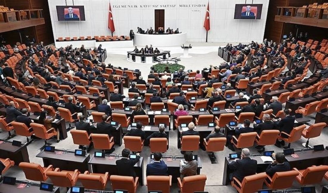 TBMM Genel Kurulunda, fahiş